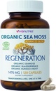 Sea Moss Kapsule 1476mg 