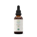 Brahmi USDA Organic Tincture | Alcohol-Free Extract, Herbal Drops | Certified Organic Brahmi (Bacopa Monnieri) Dried Herb (2 fl oz)