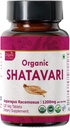 Shatavari 120 tablete 