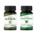 ORGANIC SPREE Alfalfa & Barley Grass Supplement – 120 Tablets Each – USDA Organic Medicago Sativa & Hordeum Vulgare – Supports Detox and Immune Health*
