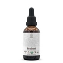 Brahmi USDA Organic | Alcohol-Free Extract, Organic Herbal Drops, Supplement | Tincture Made from 100% Certified Organic Brahmi (Bacopa Monnieri) Dried Herb 2 oz