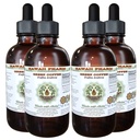 Hawaii Pharm Green Coffee Alcohol-Free Liquid Extract, Green Coffee (Coffea Arabica) Dried Bean Glycerite Natural Herbal Supplement 4x4 oz