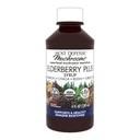 Host Defense Elderberry Plus Syrup - Immune, Respiratory & Lung Support Supplement* - Liquid Mushroom Supplement with Turkey Tail, Reishi, Agarikon & Chaga* - 4 fl oz (12 Servings)