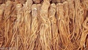 Female Ginseng Seeds - Dong Quai, Chinese Medicine Herb, Angelica Sinensis