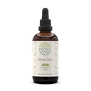 Dong Quai B120 Alcohol-Free Herbal Extract Tincture, Dong quai (Angelica sinensis) Dried Root (4 fl oz)