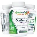 OcuBerry - Bilberry, Grape Seed, Black Currant & Black Rice Extracts - Antioxidant & Vascular Support - Vision, Retina & Blue Light Protection - No Fillers, Excipients - 60 Vegan Capsules Supplement