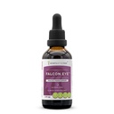 Secrets of the Tribe Falcon Eye Alcohol-Free Extract, Alcohol-Free Bilberry, Eyebright, Ginkgo, Green Tea, Carrot, Grape. Tincture Glycerite Healthy Vision Support (2 FL OZ)