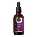 Earth's Love - Bilberry Fruit Alcohol-Free Herbal Extract Tincture, Super-Concentrated Bilberry (Vaccinium Myrtillus) Dried Fruit (4 Fl Oz)