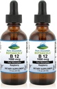 Pure Mountain Botanicals B12 1000 mcg - B12 Complex - Natural Berry Flavor - 30 Servings - Liquid Drops Vitamin - Kosher Supplement (Pack of 2)