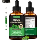 Venture Pal Liquid Chlorophyll Drops, 100mg 5-in-1 BotaniComplex Formula with Peppermint and Parsley, 60 Servings