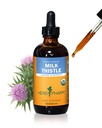 Herb Pharm Milk Thistle Liquid Extract: Organic Silybum marianum Extract Healthy Liver Function Support, Cleanse & Detoxify, Fast-Absorbing Milk Thistle Herbal Supplement, Up to ~12 Week Supply, 4 oz*