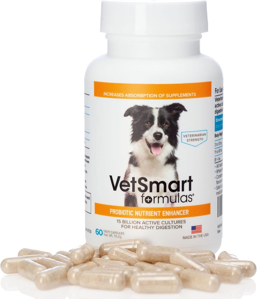 Pet Probiotics за кучета Допълнение - Подкрепете Digestive Enzymes за Nutrient Абсорбция - 15 милиарда активни пробиотични култури Атака Възпаление за предотвратяване на инфекция