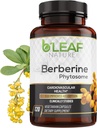 B’Leaf Nature Berberine Phytosom, 120 kapsler – 1100 mg Berberine Supplement for Metabolic og kardiovaskulær støtte – Vegansk, Glutenfri, Ikke-GMO Berberine Phytosom kapsler for immun velvære