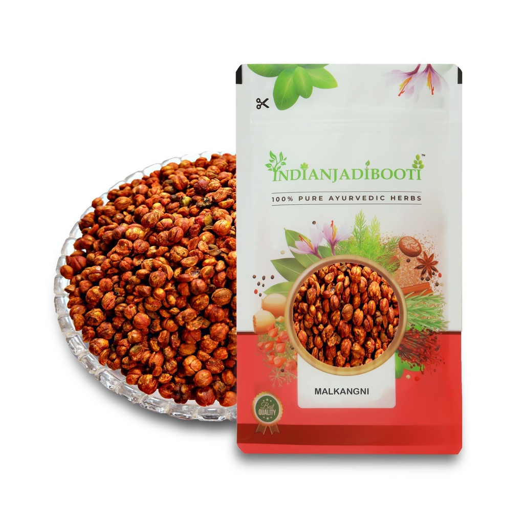 IndianJadiBooti Malkangni Beej - Jyotishmati Seeds - Celastrus paniculatus | Malkangani Seed | Stress Relief Good for Appetite (100 Grams pack)