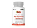 (LeeWell) Wild Strawberry Fruit Extract powder Supplement, Natural Source of fisetin Antioxidant, For Skin and Vascular Health- 60 Capsules