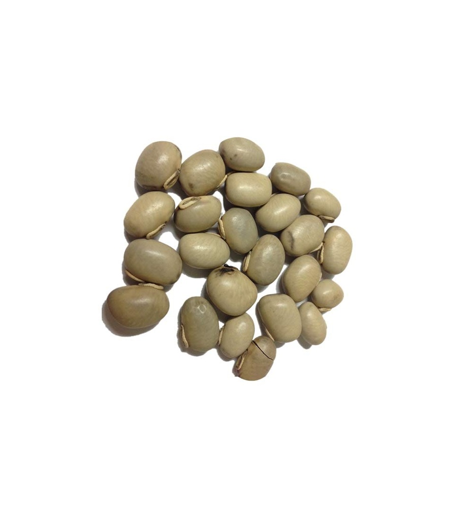 White Kapikachu (Tella Dulagondi) 100G