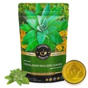 TEACURRY Himalayan Mullein Tea (50 Grams, 100 Cups) - Helps with Asthma, Lung Detox, Immunity and Easy Sleep - Australian Mullein Leafs