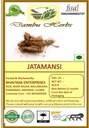 Dambu Herbs - JATAMANSI - 200 Gm Nardostachys Jatamansi