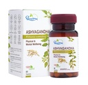 Dhootapapeshwar Ashwagandha Tablet | Stress Relief & Nervous System Support | Boosts Immunity, Strength, and Vitality | 60 Tablets X Pack Of 2