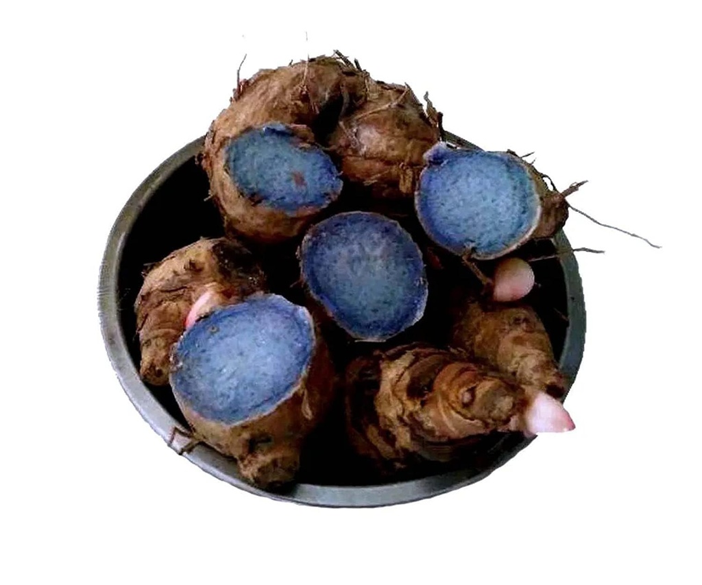 Nursery Live Black Turmeric Seeds for Plantation, 250 Gram