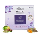 TGL Co.Slim Line Green Tea Infusion (16 Tea Bags)|Rich in Anti Oxidant | Refreshing | No Artificial flavor | Improve Digestion