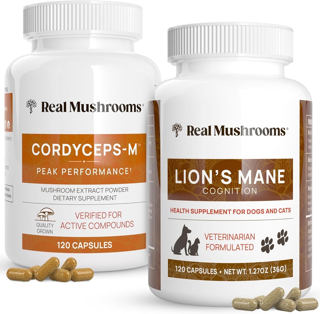 Mushrooms reales Cordyceps for Humans (120ct) and Lions Mane for Pets (120ct) - Bundle for Energy, Vitality & Cognition - Vegan, Non-GMO, Gluten-Free, Grain-Free Mushroom Extract Supplements