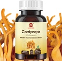 Cordyceps Kapsle, Houba Extract dodatek Prášek s 31% Beta Glucan pro výkon, energie a imunitní systém Podpora, 700mg, 60 Počet, Organic a Vegan