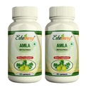 ERBZENERG� Amla 60 Capsules 500mg Pack of 2