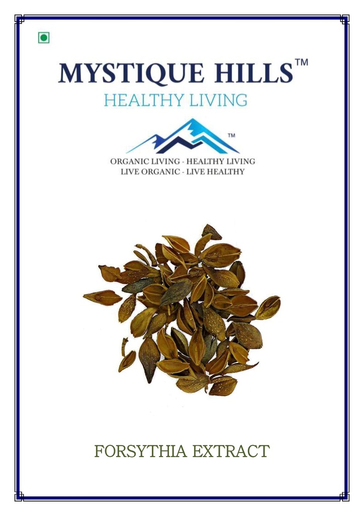Mystique Hills Forsythia Extract Powder (100 g)