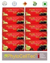 DSC Packet (14 Sachets x 1500mg) Fresh Stock (pack of 10)