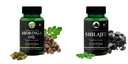 Moringa Seed Oil Shilajit Wellness Daily Vitality 60 CAPSULES