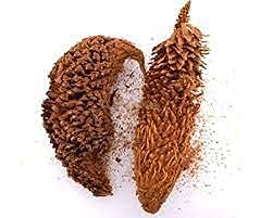 மதனகாமப்பூ / Madhanakama Poo / Queen Sago / Jangli Madanmust Ka Phul 100g by Amirtham Organic Foods