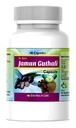 Jamun Guthali Extract Capsules 500mg | Supports Blood Sugar Balance, Digestion & Metabolism | Pure Jamun Seed Powder | Herbal Wellness Supplement | 60 Veg Capsules Pack Of 1