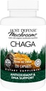 Host Defense Chaga Capsules - Integratore di Supporto Sistema Immune - Chaga Mushroom Capsules per Supporto Attività Antiossidante - Integratore Dietetico Funghi - 120 Capsule (60 Serve)*