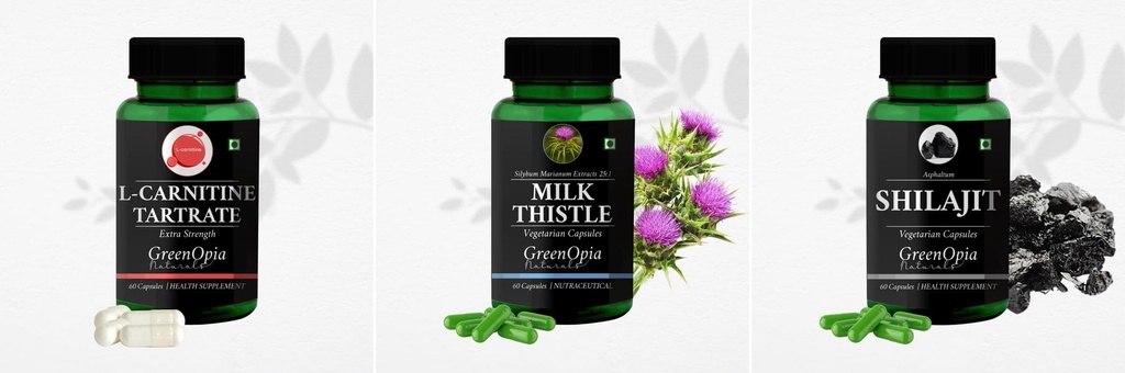 L Carnitine 1 + Milk Thistle Shilajit Daily Health Pack |60 CAPSULES