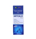 ARYCAL-D Syrup with Calcium, Magnesium, Zinc & Vitamin D3, Sugar-Free, Bone Health, 200 ml (Pack of 1)