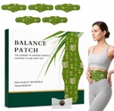 Japanese Herbal Balance Patch for Abdomen, Comfortable Self-Adhesive Wellness Sticker, Easy-to-Apply Daily Body Care, Premium Quality, Pack of 5