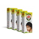 I Action Kesh Amrit Ganjnashk Oil I Legacy of Ayurveda I Ayurvedic Medicine I GMP Certified Company I 50 ML (Pack of 4)