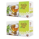 GAIA Green Tea Bags Pack of 2 (25 Tea Bags Each, Total 50 Bags) | Rich in Antioxidants | Supports Weight Management & Immunity | Natural Detox Green Tea | Zero Calories
