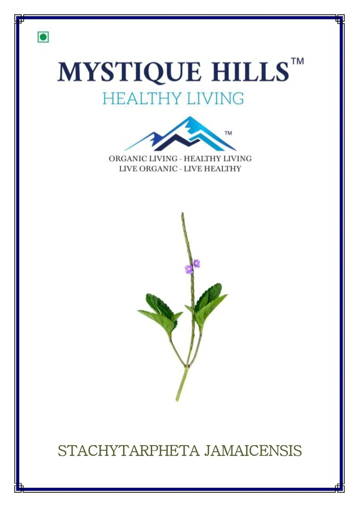 Mystique Hills Stachytarpheta jamaicensis powder (50 g)