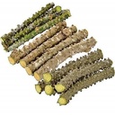 kb Natural Giloy Neem Tree Guruch Gulvel Guduchi Fresh Plant Stems Sticks Giloya Bel (7-inch) Set of 10