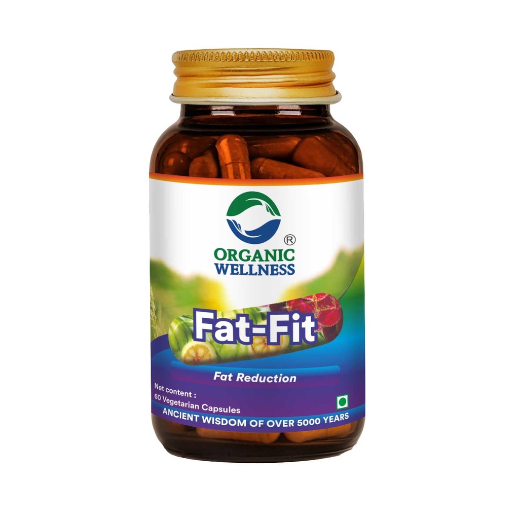 Organic Wellness - Fat Fit Capsule Ayurvedic Capsule Rich Antioxidant Naturally Promotes Healthy Metabolism Reduce Excess Body Mass (60 N Veg Capsules)