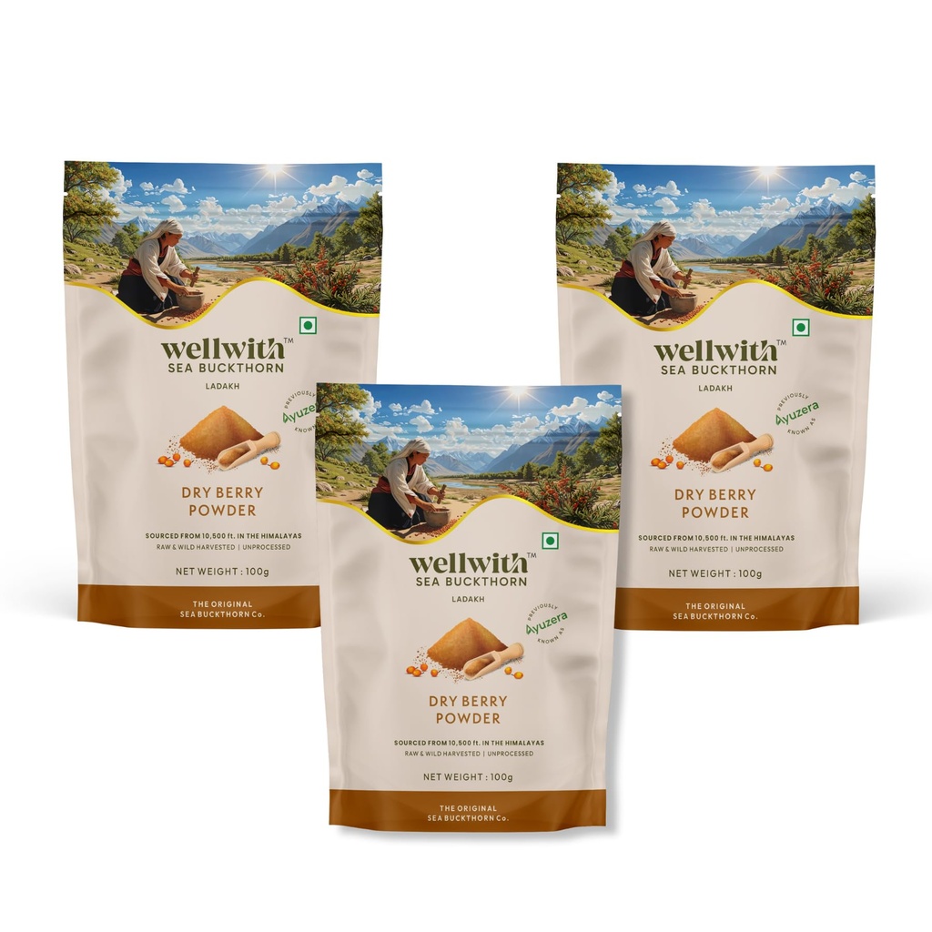 Wellwith Himalayan Sea Buckthorn Dry Berry Skin Powder(100gm.Pack of 3) | Rich in Omega |Vitamin C, Vitamin E | Dry Sea Buckthorn Berry Powder