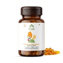 Sea Buckthorn Oil Capsule (60 Count) | Omega 7 | High Potency Omega 3, 6, 9
