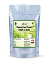 Ketki Pure Shatavari Powder 250 grams, Pack of 1| Asparagus racemosus | Shatawari (Swet)