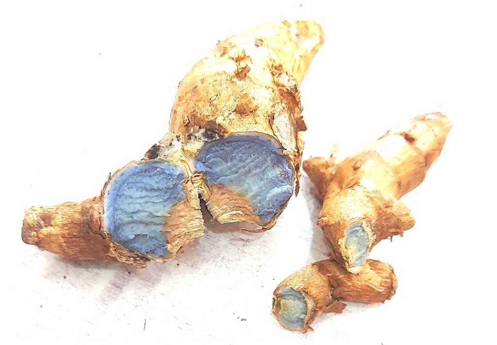 Vinarghya - Pure Original Natural Kali Haldi/Fresh Black Turmeric for Pooja (Standard) / Pujan samugri/Jamuni haladi ki ganth/Krishna Haridra/Nall Pasupu/जामुनी हल्दी - 50g