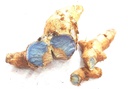 Vinarghya - Pure Original Natural Kali Haldi/Fresh Black Turmeric for Pooja (Standard) / Pujan samugri/Jamuni haladi ki ganth/Krishna Haridra/Nall Pasupu/जामुनी हल्दी - 50g