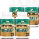 Spermidine supplement 15 MG - 99% Purity, High Absorption, 1500 MG Fermented Wheat Germ Extract with Zinc ' Thiamin, Spermidine for Men " Cellular Renewal, Aging Defense, Energy, 240 Softgels