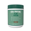 Vital Proteins Protein Powder – 20g Plant Based Protein with Chickpea – 1B CFU Probiotic for Gut Health, No Added Sugar – Chocolate, 16.5 oz