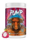 Underground Bio Labs Panda Supps Pump, Pre-Workout, No-Clump Formula w/10G L-Citrulline Malate, Alpha GPC, Lions Mane,CognatiQ™,VasoDrive-AP® 40 Scoops (Rainbow Dragonfruit)